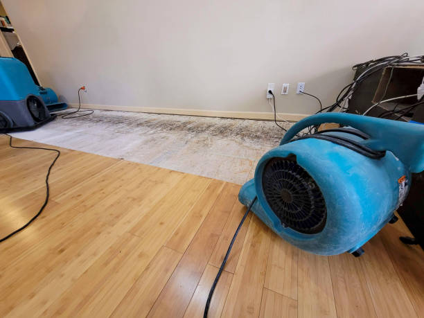 Professional Sewage Cleanup technician working in Alva, FL